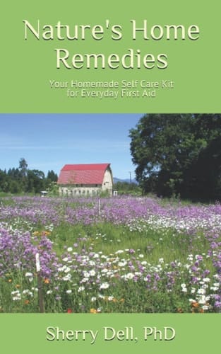 Nature's Home Remedies: Your Homemade Self Care Kit for Everyday First Aid