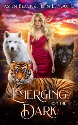 Emerging from the Dark