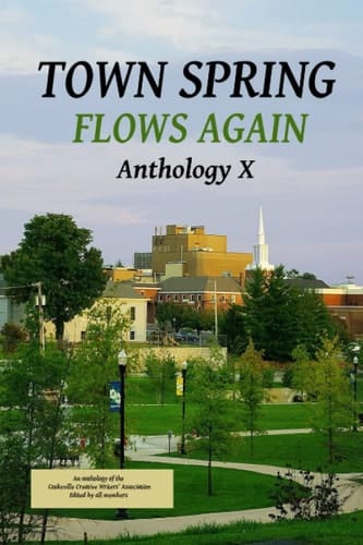 Town Spring X Flows Again