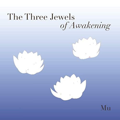 The Three Jewels of Awakening A Handbook for Spiritual Teachers and Their Students