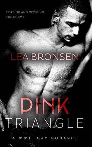 Pink Triangle A WWII Gay Romance