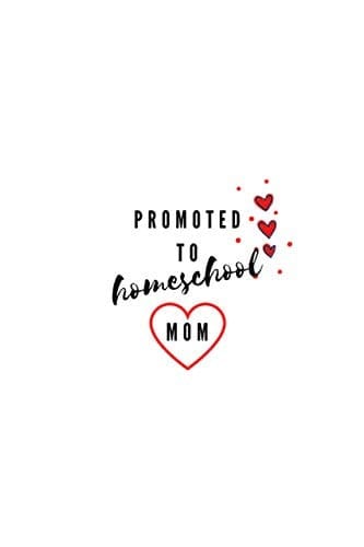 Promoted To Homeschool Mom: Inspirational journal for women to write in (Funny quote journal) Inspirational notebook perfect for Mother's Day Gift.