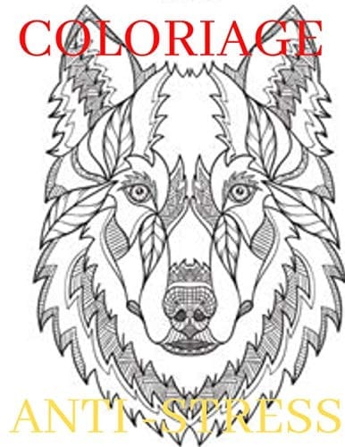 COLORIAGE ANTI-STRESS: Livre de Coloriage pour Adultes: Super Loisir Antistress pour se détendre (French Edition)