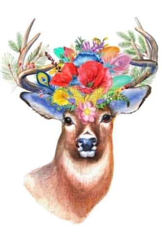 My Deer, Oh My!: Notebook