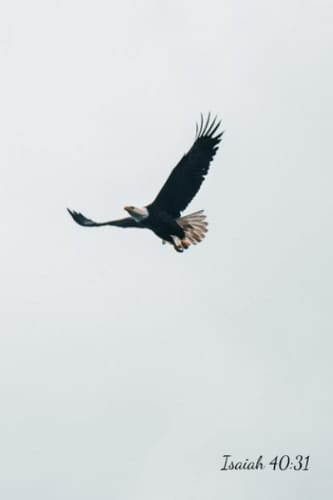 Eagle Journal: Devotional and Prayer Journal: Daily Journaling