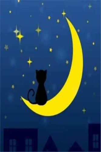 Moon cat Notebook: Lined Journal