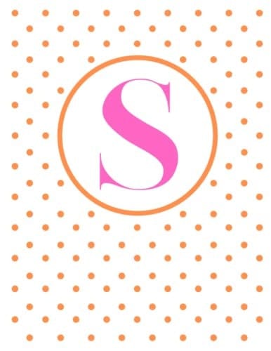 S Initial Notebook
