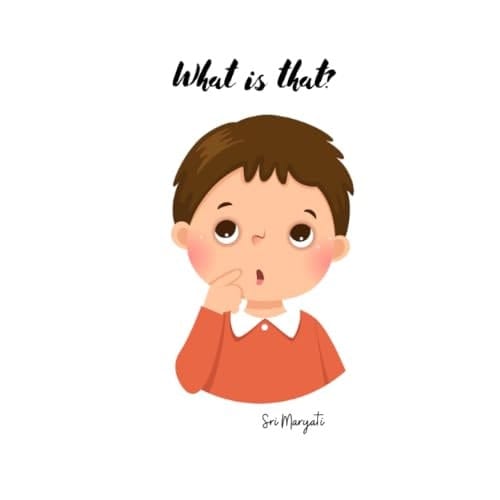 What is that?