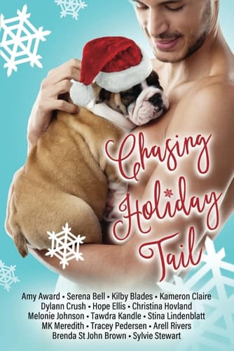Chasing Holiday Tail: A Holiday Rom-Com Charity Anthology