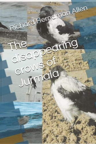 The disappearing crows of Jurmala