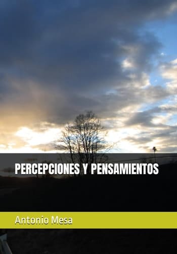 PERCEPCIONES Y PENSAMIENTOS (Spanish Edition)