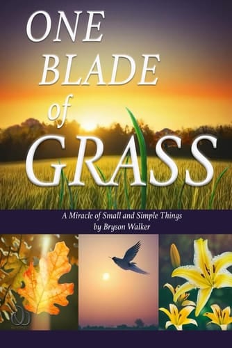 One Blade Of Grass: A Miracle of Small and Simple Things (Holiday Books for Children)