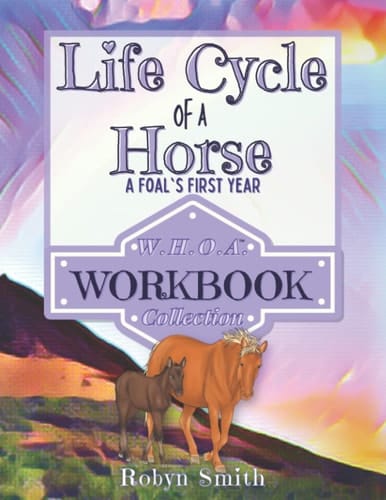 The Life Cycle of a Horse A Foal's First Year
