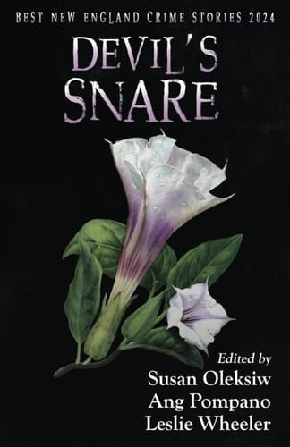 Devil's Snare Best New England Crime Stories 2024