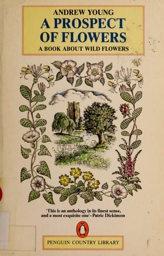 A prospect of flowers