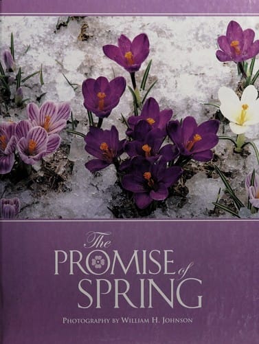 The promise of spring