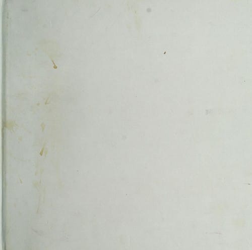 The rise of the mammals