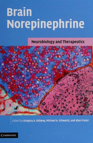 Brain norepinephrine