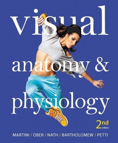 Visual anatomy & physiology