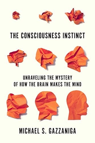 The consciousness instinct