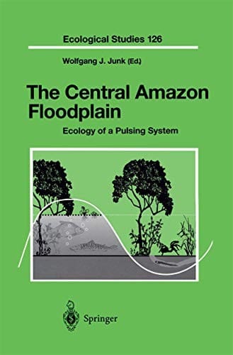 Central Amazon floodplain