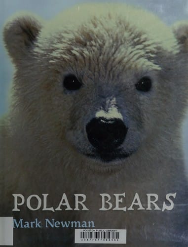 Polar bears