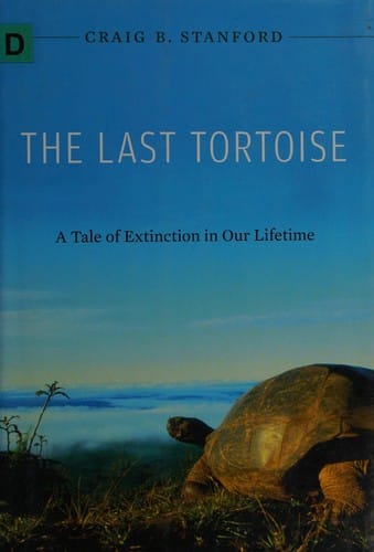The last tortoise
