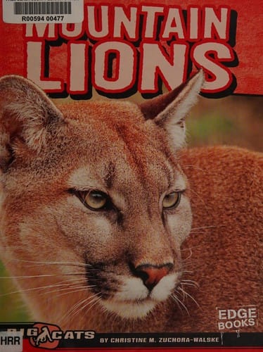 Mountain lions