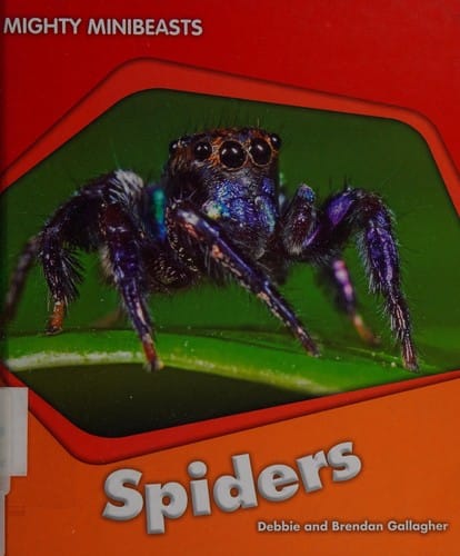 Spiders