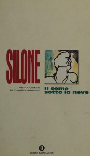 Il seme sotto la neve, romanzo