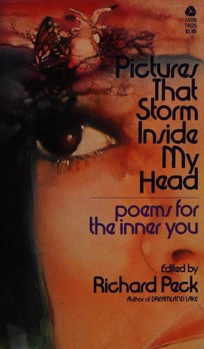 Pictures that storm inside my head