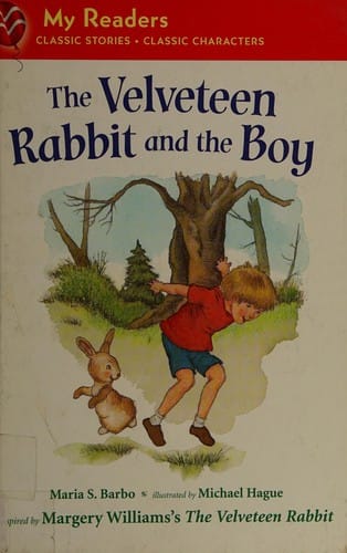 The Velveteen Rabbit and the boy