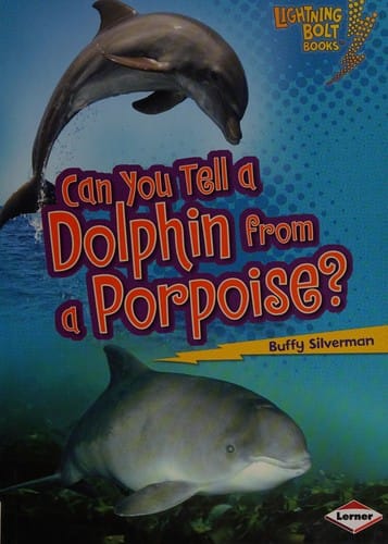 Can you tell a dolphin from a porpoise?