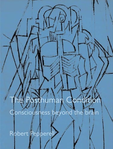 POSTHUMAN CONDITION: CONSCIOUSNESS BEYOND THE BRAIN