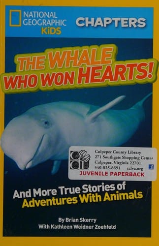 The whale who won hearts!