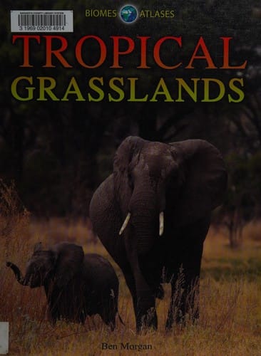 Tropical grasslands