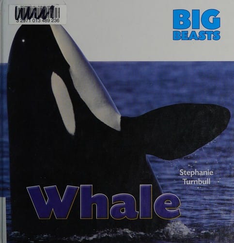 Whale