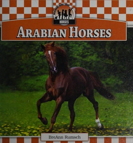 Arabian horses