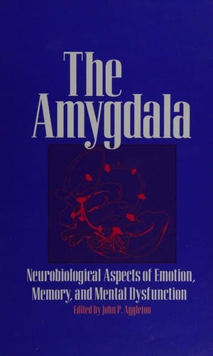 The Amygdala