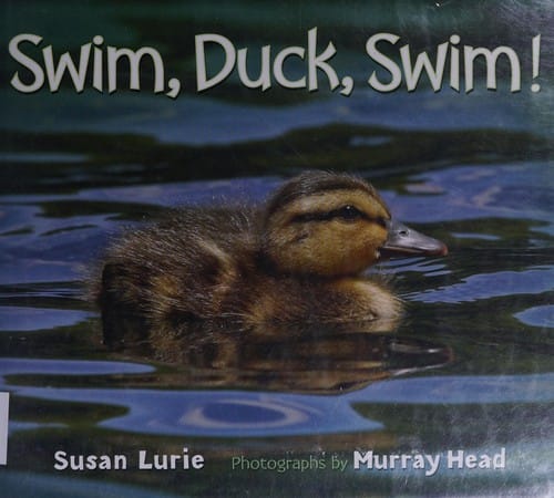 Swim, duck, swim!