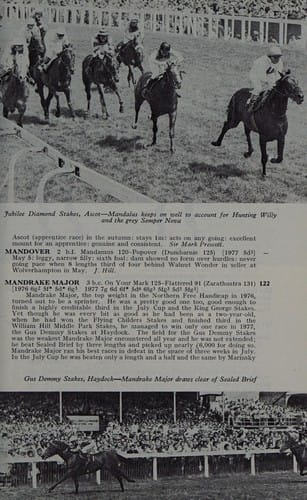 Racehorses of