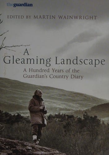 A gleaming landscape