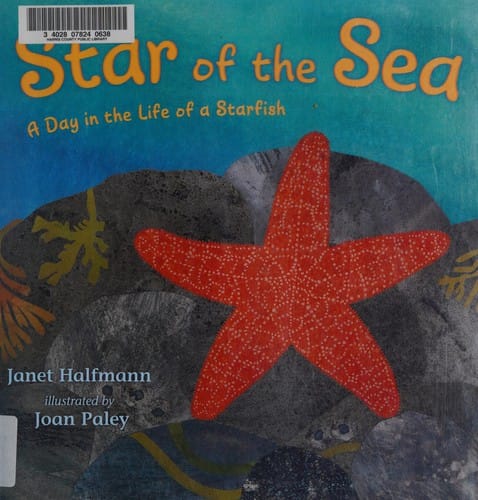 Star of the sea