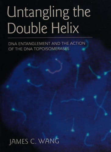 Untangling the double helix