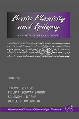 Brain plasticity and epilepsy