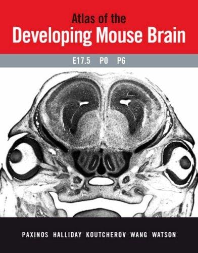 Atlas of the developing mouse brain at E17.5, P0 and P6