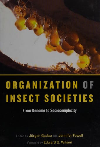 Organization of insect societies