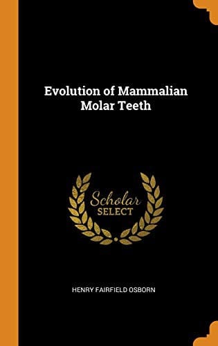Evolution of mammalian molar teeth