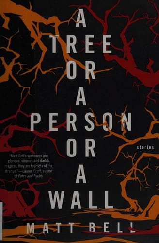 A tree or a person or a wall