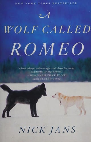A wolf called Romeo